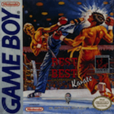 (GameBoy): Best of the Best Championship Karate
